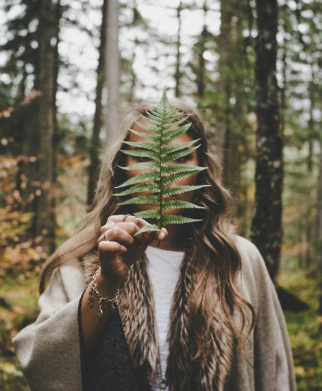 pexels-lucas-allmann-612891